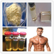 Acétate de testostérone anabolisante en poudre de stéroïde brut pour la croissance musculaire; CAS 1045-69-8